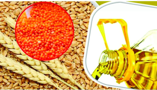 ৪২৪ কোটি ৫৪ লাখ টাকার তেল-ডাল-গম কিনবে সরকার
