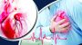 দেশে বছরে ২ লাখ ৪০ হাজার মানুষে মৃত্যু হয় হৃদরোগে