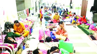 বাড়ছে ডেঙ্গু, হাসপাতাল প্রস্তুতের নির্দেশ