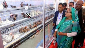 প্রাণিসম্পদ সেবা সপ্তাহ ও প্রদর্শনী ২০২৪ এর উদ্বোধন করেছেন প্রধানমন্ত্রী