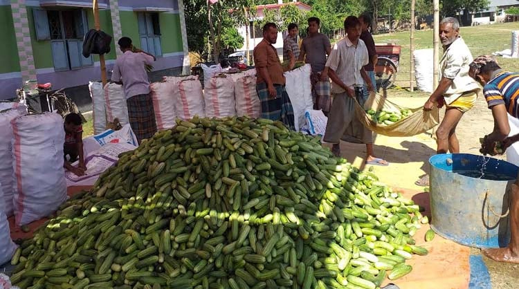 জয়পুরহাটে বেগুন, শসা, করলাসহ অন্যান্য সবজির দাম কমেছে
