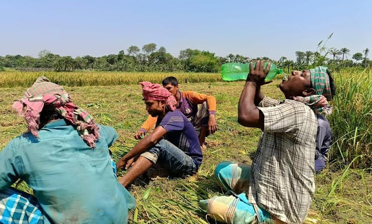 সর্বোচ্চ তাপমাত্রা চুয়াডাঙ্গায় রেকর্ড
