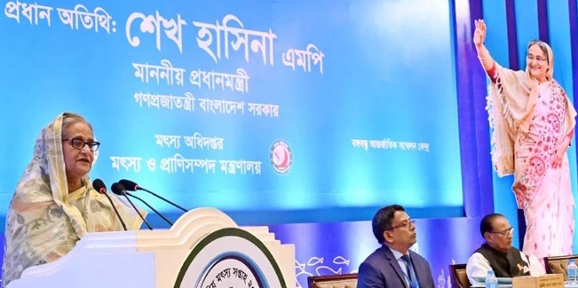 কোটা সংস্কার আন্দোলন ঘটনার সুষ্ঠু তদন্ত করতে জাতিসংঘসহ অন্যান্য আন্তর্জাতিক সংস্থার সহযোগিতা চেয়েছেন প্রধানমন্ত্রী