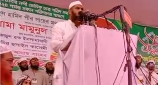 বিপ্লব যাতে ছিনতাই না হয় সেদিকে পাহারা দিবে হেফাজতে ইসলাম-মামুনুল হক