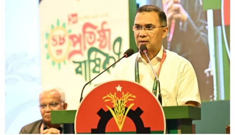 দেশের জনগণের স্বার্থ রক্ষাকারী দলের নাম বিএনপি-তারেক রহমান